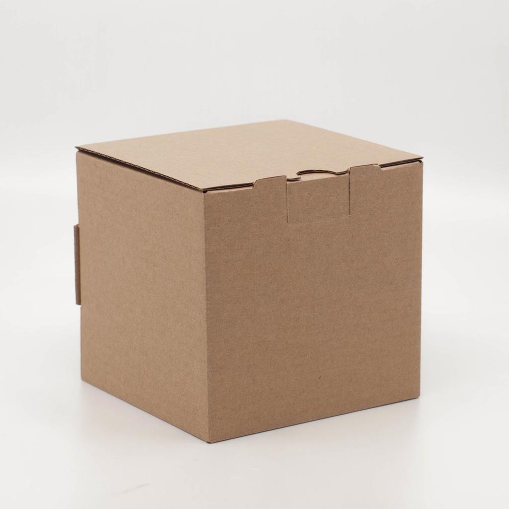 enamel mug box unprinted